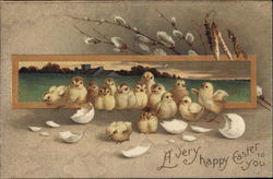 15 Newly-Hatched Chicks Postcard