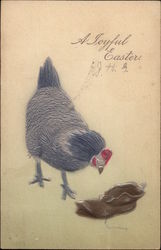 Black Chicken & Old Brown Boot Postcard