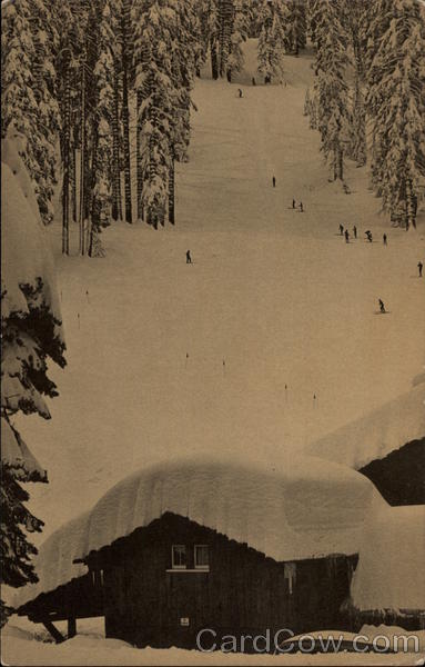 Badger Pass Ski House, and Practice Hill Yosemite National Park California