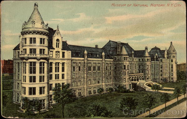 Museum of Natural History New York