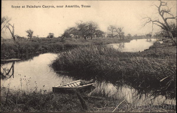 Scene at Paladuro Canyon Amarillo Texas