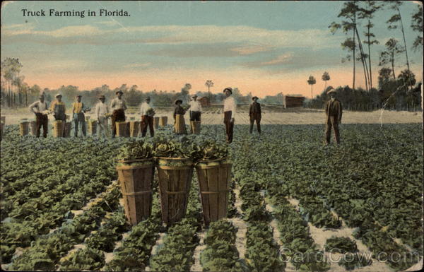 Truck Farming in Florida