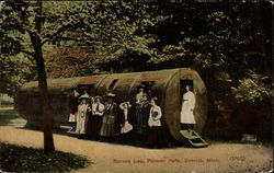 Spruce Log, Palmer Park Postcard