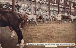Interior of Coliseum during State Fair Postcard