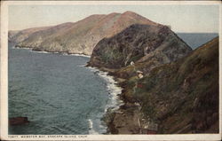 Webster Bay, Anacapa Island Postcard