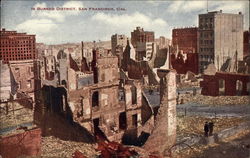 In Burned District Postcard