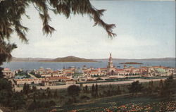 Birdseye View of the Panama Pacific International Exposition Postcard