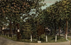 Washington Park Postcard
