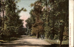 Stock #290429 Thumbnail