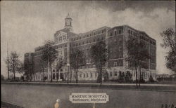 Stock #290485 Thumbnail