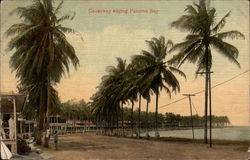 Causeway Edging Panama Bay Postcard Postcard