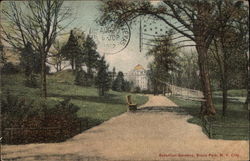 Botanical Gardens, Bronx Park Postcard