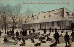 Delivering Fur for the Hudson Bay Co Delivering Fur for the Hudson Bay Co