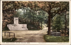 Road in Sleepy Hollow Concord, MA Postcard Postcard