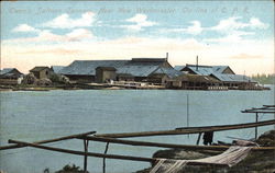 Ewen's Salmon Cannery Postcard