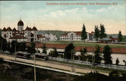 Exhibition Grounds and Buildings Postcard
