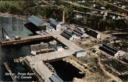 Aerial View of Harbor Postcard