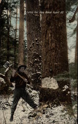 Cutting first trees Postcard