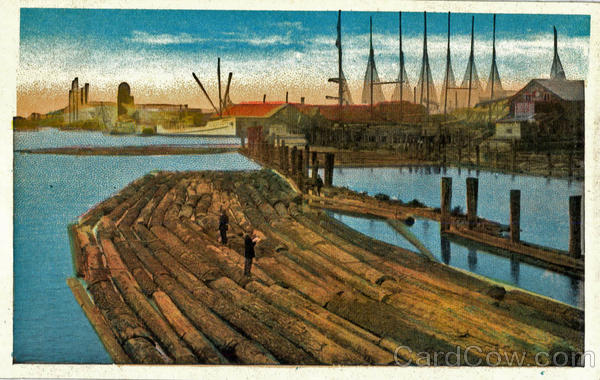 Logs Floating on the River Logging