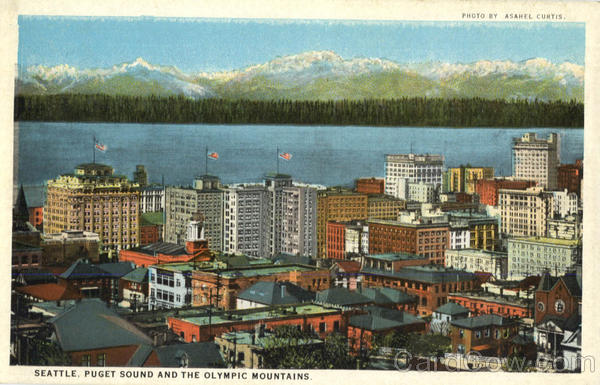 Settle Puget Sound And The Olympic Mountians Seattle Washington