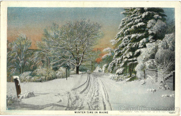 Winter Time In Maine Scenic