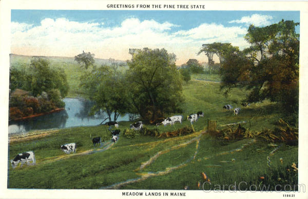 Greetings From The Pine Tree State Scenic Maine