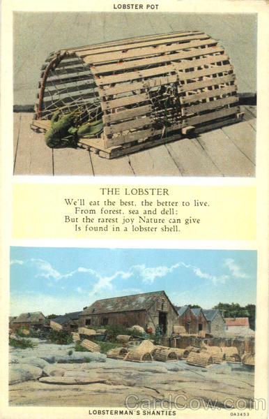 The Lobster Scenic Maine