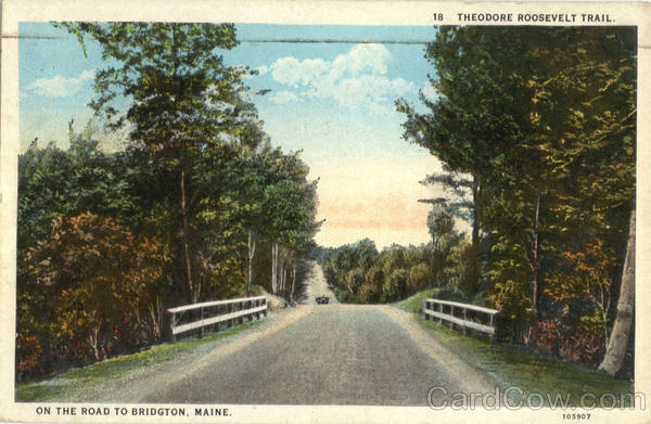Theodore Roosevelt Trail Bridgton Maine