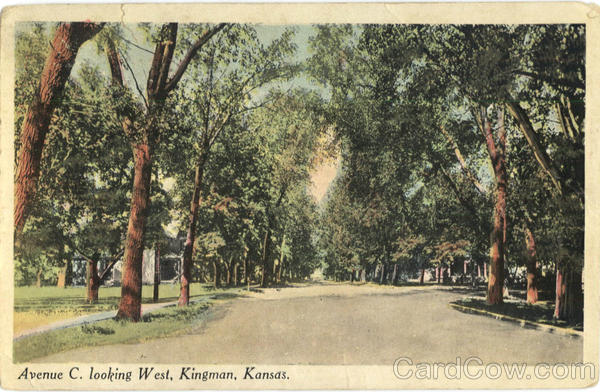Avenue C. Looking West Kingman Kansas