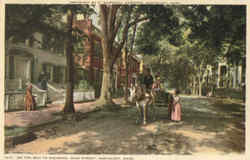 On the way to shearing , main street. Nantucket, MA Postcard Postcard