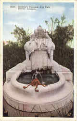 Children's Fountain , City Park Postcard