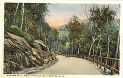 Mohawk Trail Postcard