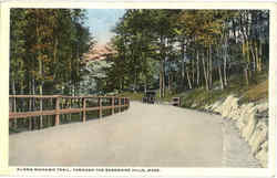 Along Mohawk Trail Postcard