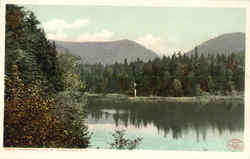 Ammondosuc Lake Postcard
