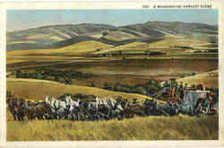 A Washington Harvest Scene Scenic, WA Postcard Postcard