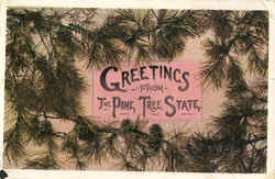 Greetings From The Pine Tree State Scenic, ME Postcard 