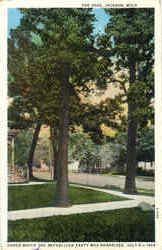 The Oaks Postcard