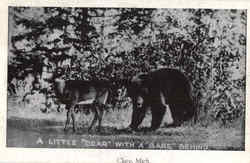 A Little "Dear" With A "Bare" Behind Postcard