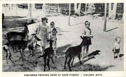 Children Feeding Deer At Deer Forest Postcard