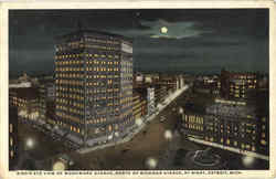 Bird's Eye View Of Wodward Avenue Postcard