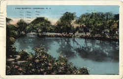 Lake Manetta Postcard