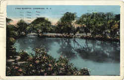 Lake Manetta Lakewood, NJ Postcard Postcard