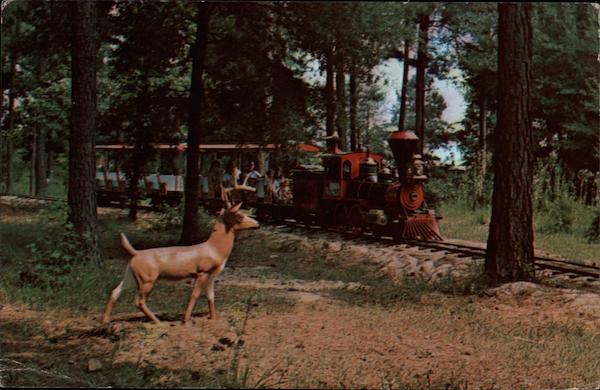Amigoland Fun Park at South of the Border Hamer South Carolina