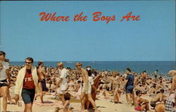 Where the Boys Are Postcard