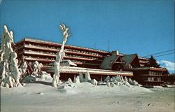 Snow Lake Lodge Mount Snow, VT Postcard Postcard