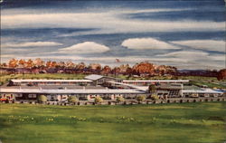 Meadowbrook Motor Inn Postcard