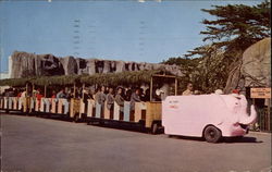 Elephant Train, San Francisco Zoo Postcard