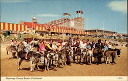 Donkeys - Coney Beach Porthcawl, United Kingdom Postcard Postcard