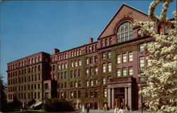 Harvard University Museum in Cambridge Massachusetts Postcard Postcard