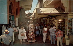 Curio Store in Tijuana Postcard